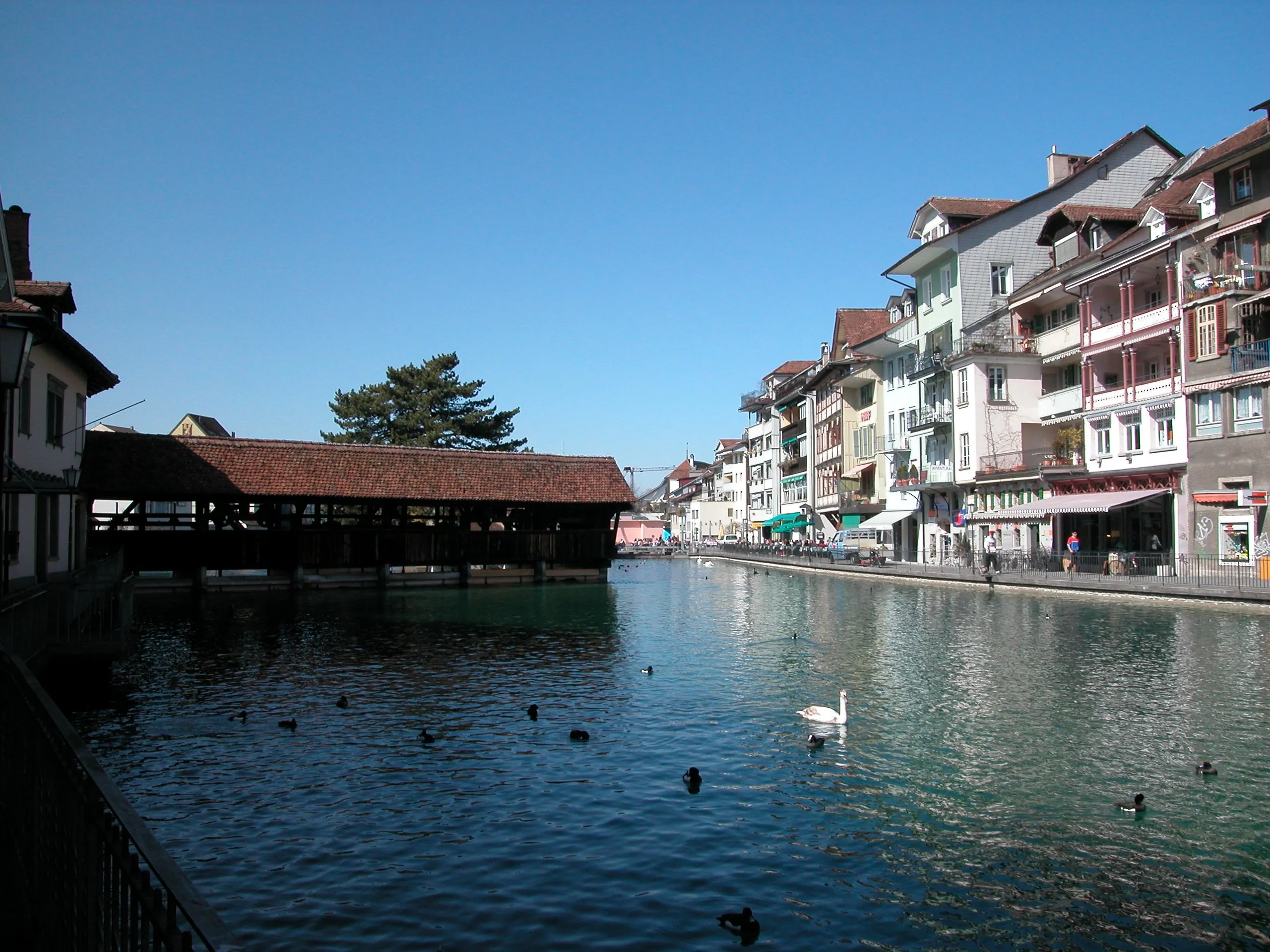 Thun